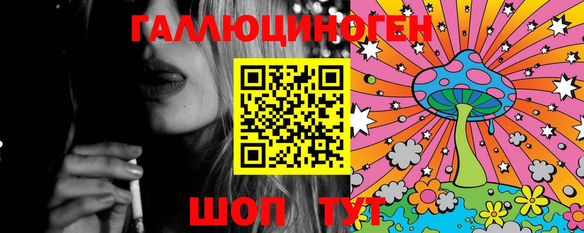 Псилоцибиновые грибы Psilocybe  Вход с VPN  Вятские Поляны 